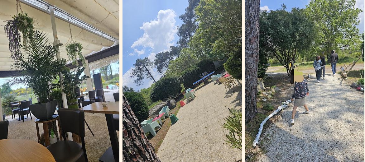 Le Calyptus - Gallery Image 6